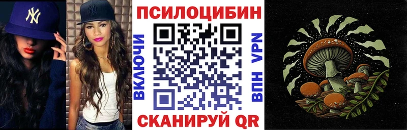 Псилоцибиновые грибы Cubensis  Никольское 